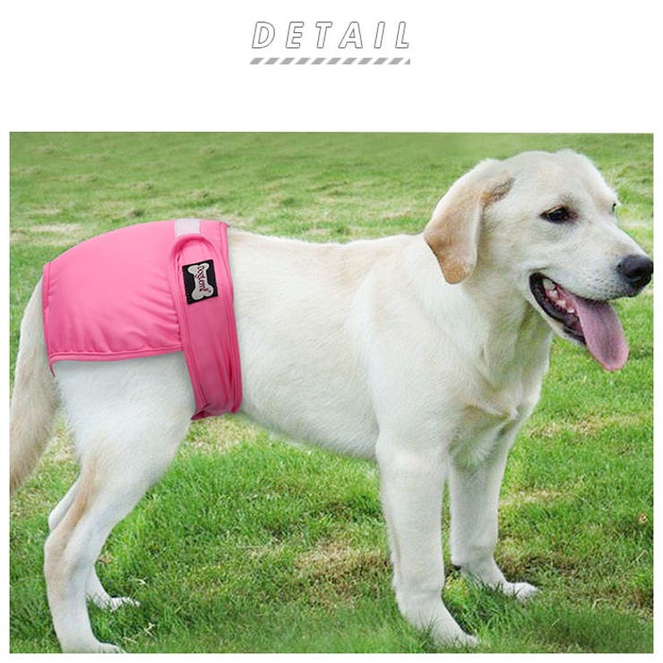 ペット用マナーベルト 女の子 dmlpet04[品番：BCYW0010420]｜BACKYARD