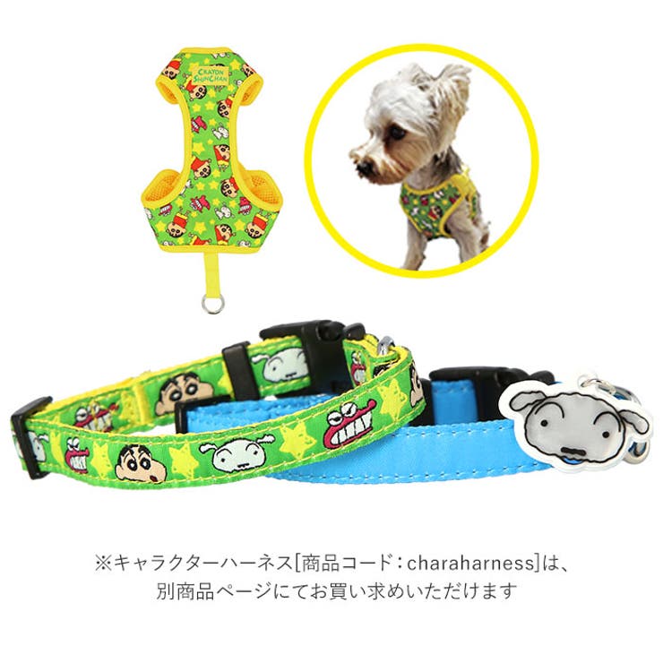 犬