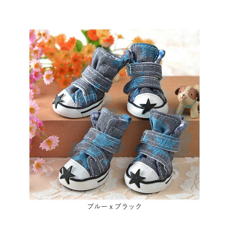 犬