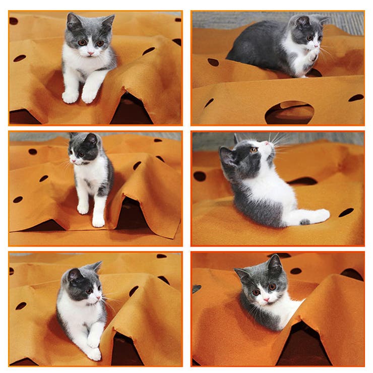 猫パズルトンネル nt007 | BACKYARD FAMILY | 詳細画像3 