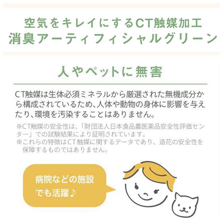 エクリア 消臭アーティフィシャルグリーン | BACKYARD FAMILY | 詳細画像4 