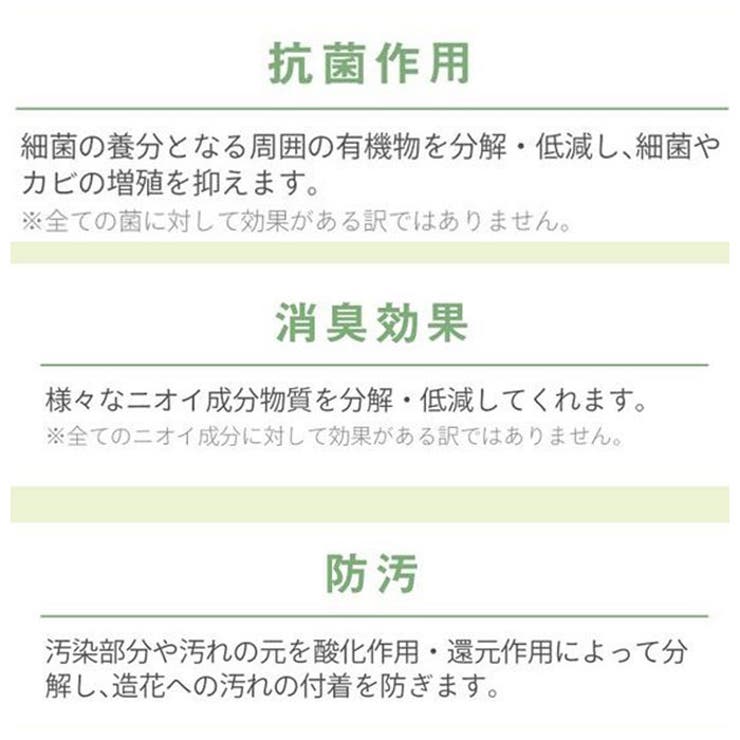 エクリア 消臭アーティフィシャルグリーン | BACKYARD FAMILY | 詳細画像7 