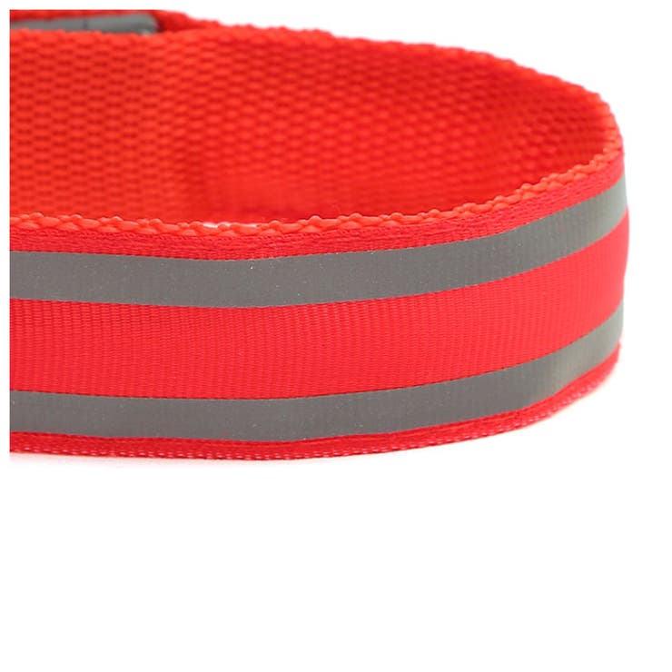 LED ランニングライト 二本 両手用 kled02 | BACKYARD FAMILY | 詳細画像5 