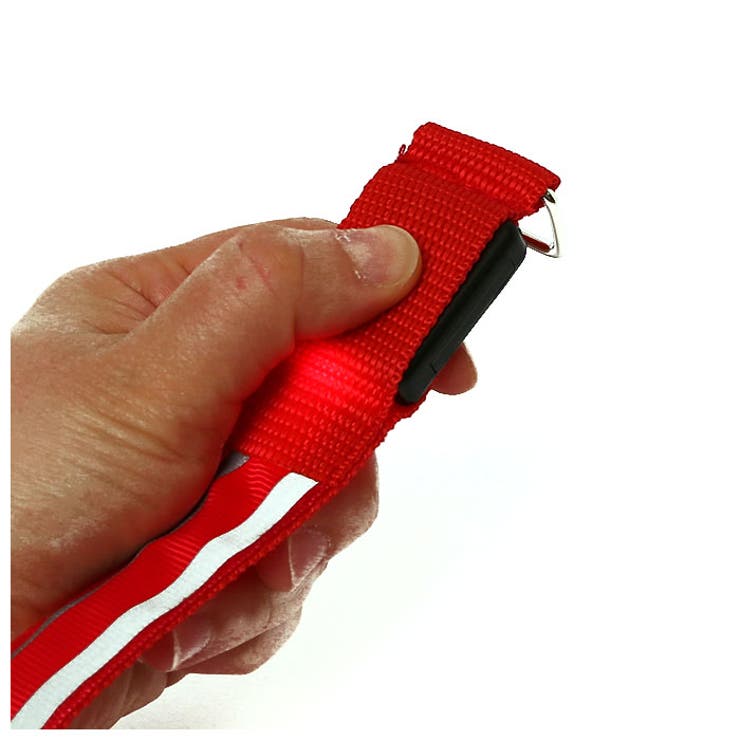 LED ランニングライト 二本 両手用 kled02 | BACKYARD FAMILY | 詳細画像6 