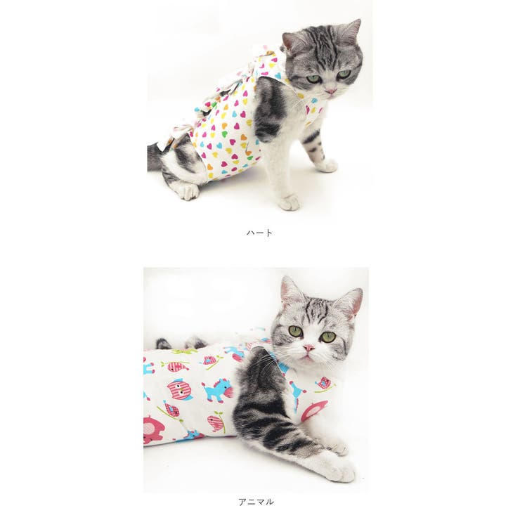 猫 術後服 ya001 | BACKYARD FAMILY | 詳細画像8 