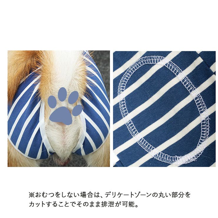 犬