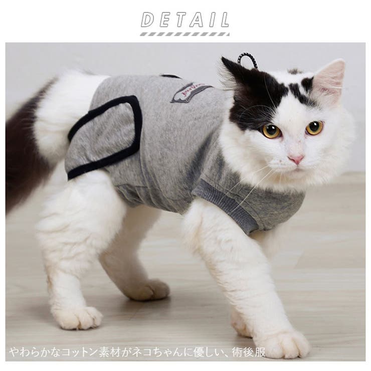 猫 術後服 kcat11[品番：BCYW0011516]｜BACKYARD FAMILY（バック