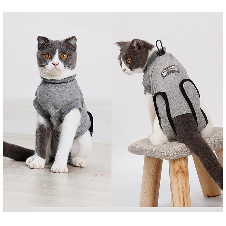 猫 術後服 kcat11[品番：BCYW0011516]｜BACKYARD FAMILY（バックヤード
