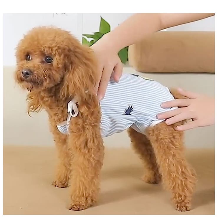 コットン術後服 可愛い peta01 | BACKYARD FAMILY | 詳細画像10 