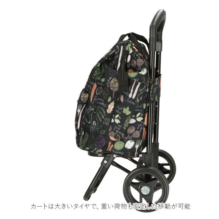 VALENTINO VISCANI ショッピングカート 2本手口枠タイプ[品番
