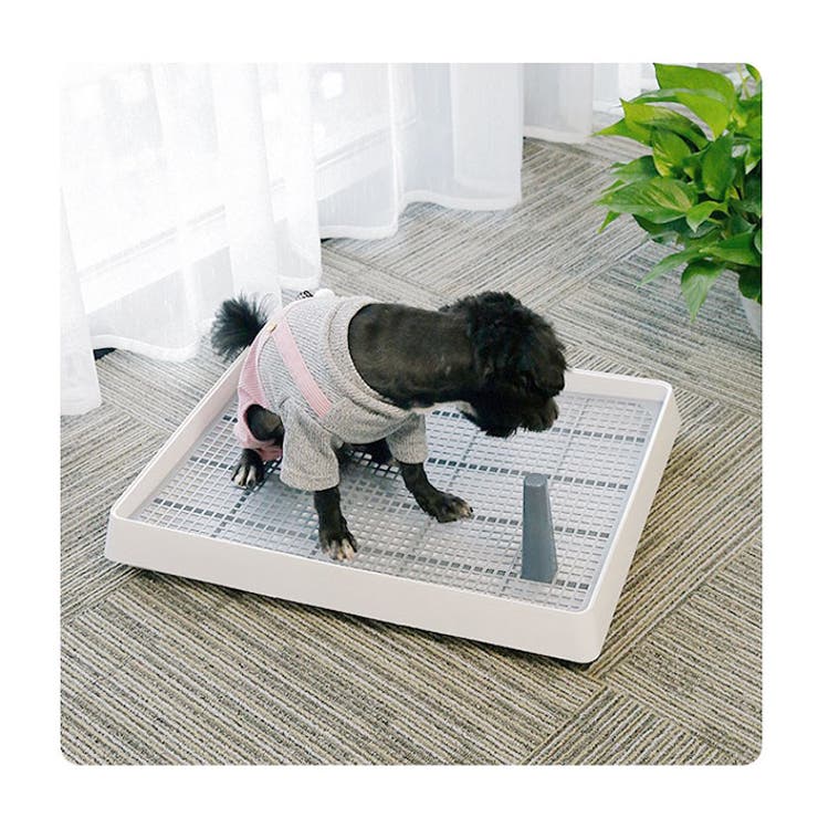 犬トイレ Lサイズ 組み立て簡単 yc1669 | BACKYARD FAMILY | 詳細画像4 