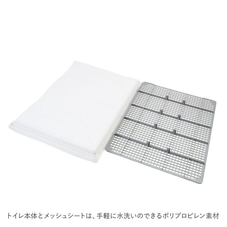 犬トイレ Lサイズ 組み立て簡単 yc1669 | BACKYARD FAMILY | 詳細画像7 