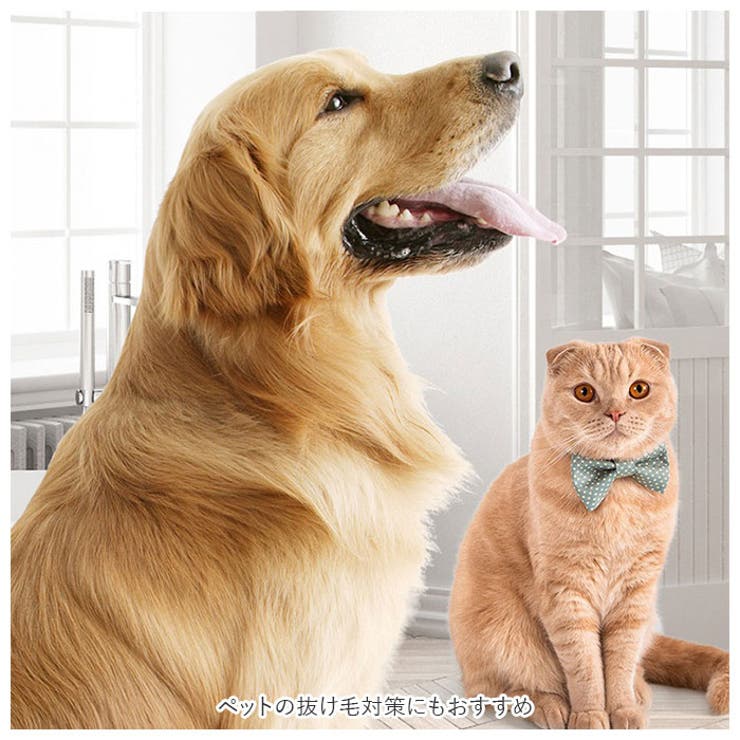 直営店に限定 猫 ブラシ ペットブラシ ペット抜け毛クリーナー アマゾン配送 洋服ブラシ 毛玉取りブラシ 掃除ブラシ 犬猫抜け毛掃除用ブラシ 毛玉  qdtek.vn