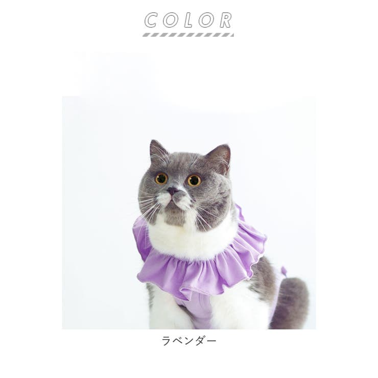 短毛シュシュ、ブルードット、わんちゃん猫ちゃん用 猫 トレカケース