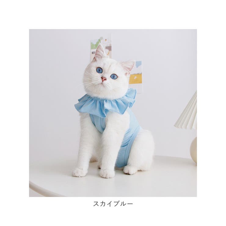 猫用 術後服 kcat12 | BACKYARD FAMILY | 詳細画像16 