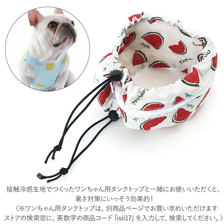 犬用クールネック ykclneck | BACKYARD FAMILY | 詳細画像11 