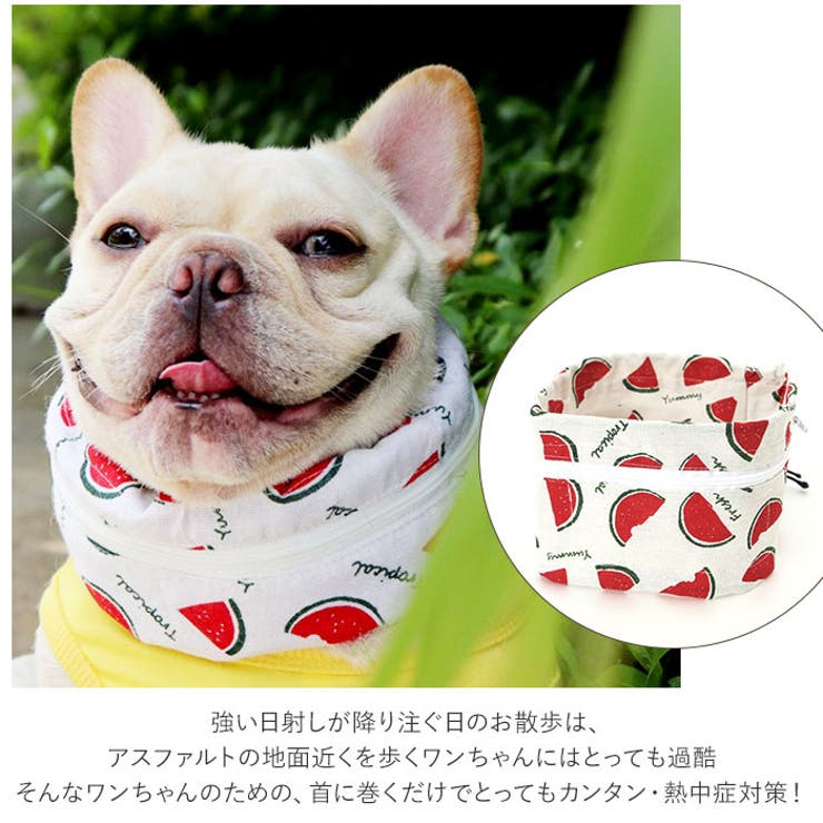 犬用クールネック Ykclneck 品番 yw Backyard Family バックヤードファミリー のファッション通販 Shoplist ショップリスト