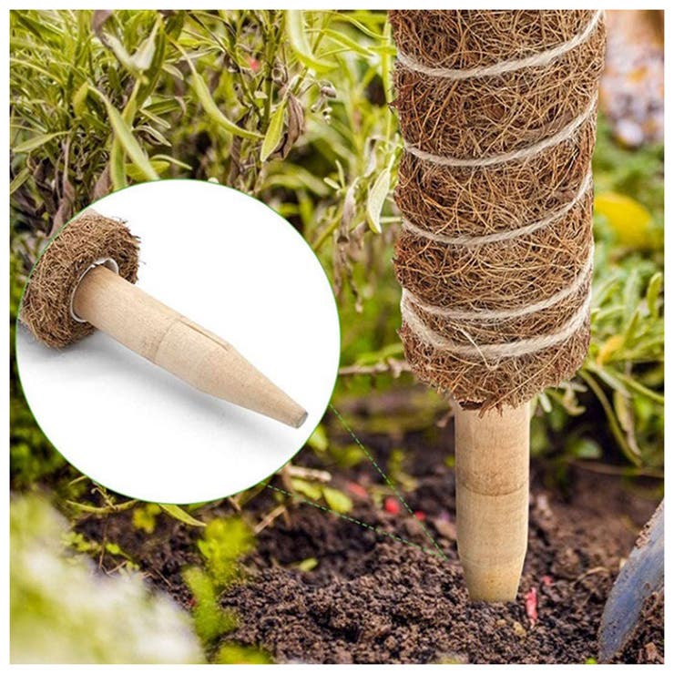 支柱 植物支柱 cn0441 | BACKYARD FAMILY | 詳細画像5 