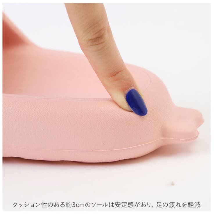 サメ