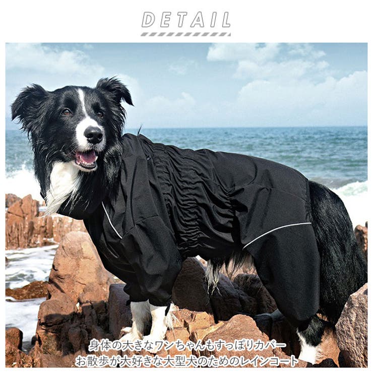 犬用 レインコート 大型犬用 y2008l[品番：BCYW0013462]｜BACKYARD