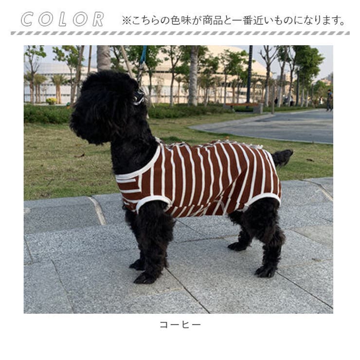ペット術後服 猫 犬 背中ボタン開き pkpeta01 | BACKYARD FAMILY | 詳細画像12 