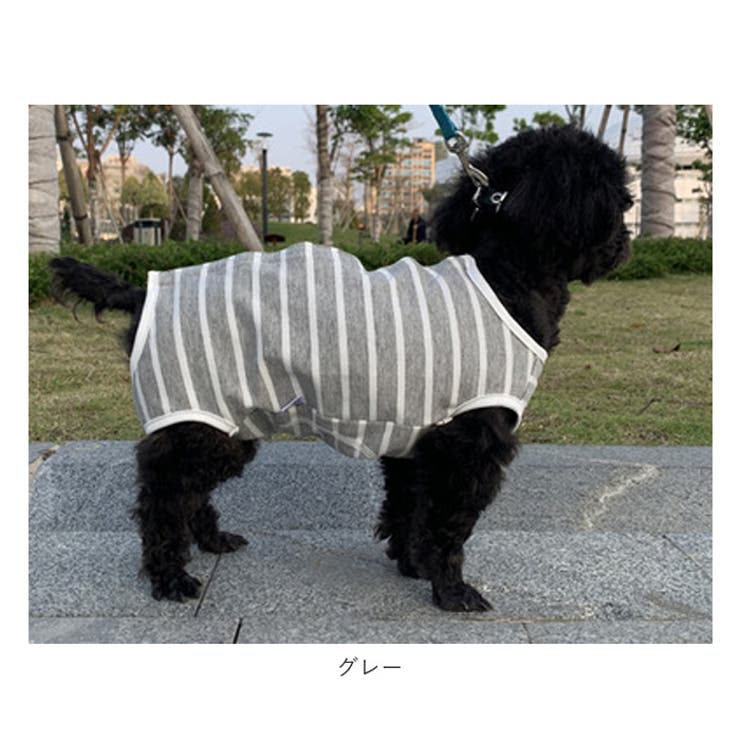ペット術後服 猫 犬 背中ボタン開き pkpeta01 | BACKYARD FAMILY | 詳細画像14 