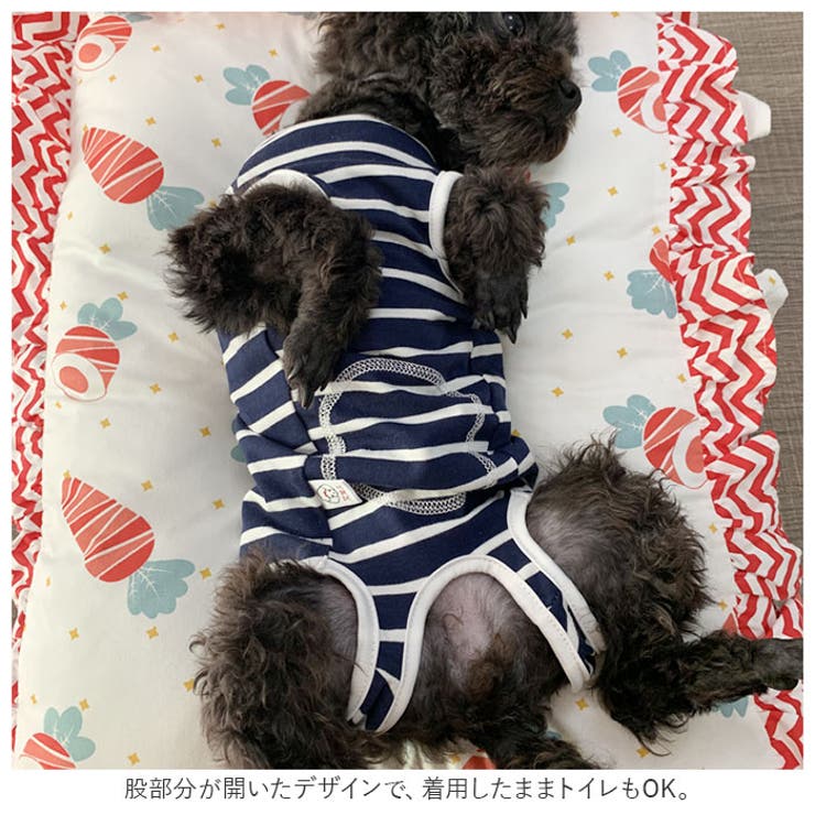 ペット術後服 猫 犬 背中ボタン開き pkpeta01 | BACKYARD FAMILY | 詳細画像5 
