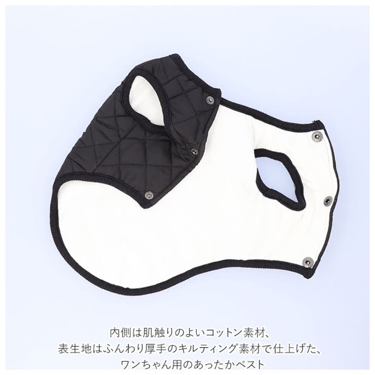 犬