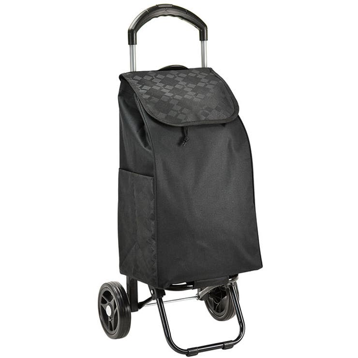 VALENTINO VISCANI ショッピングカート 32L | BACKYARD FAMILY | 詳細画像1 