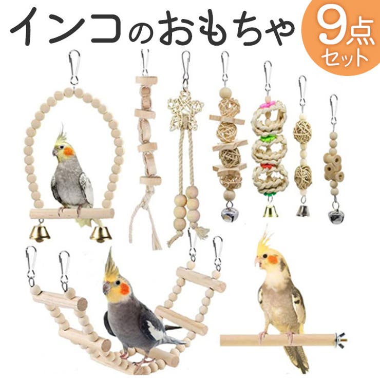インコ おもちゃ kpet25[品番：BCYW0028879]｜BACKYARD FAMILY