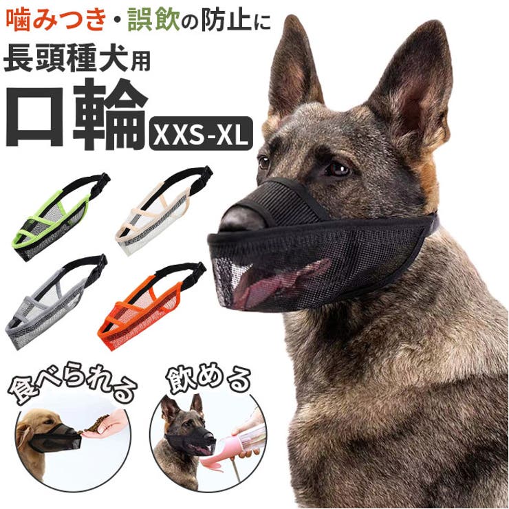 長頭種犬 口輪 マズル | BACKYARD FAMILY | 詳細画像1 