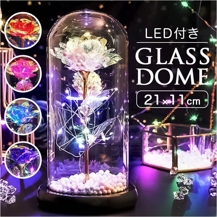 ガラスドーム 飾り おしゃれ LED付き[品番：BCYW0031091]｜BACKYARD