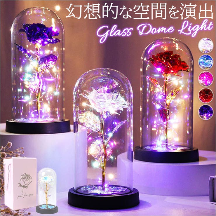 ガラスドーム 飾り おしゃれ LED付き[品番：BCYW0030776]｜BACKYARD