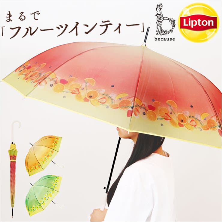 because ビコーズ クリアアンブレラ 長傘 | BACKYARD FAMILY | 詳細画像1 