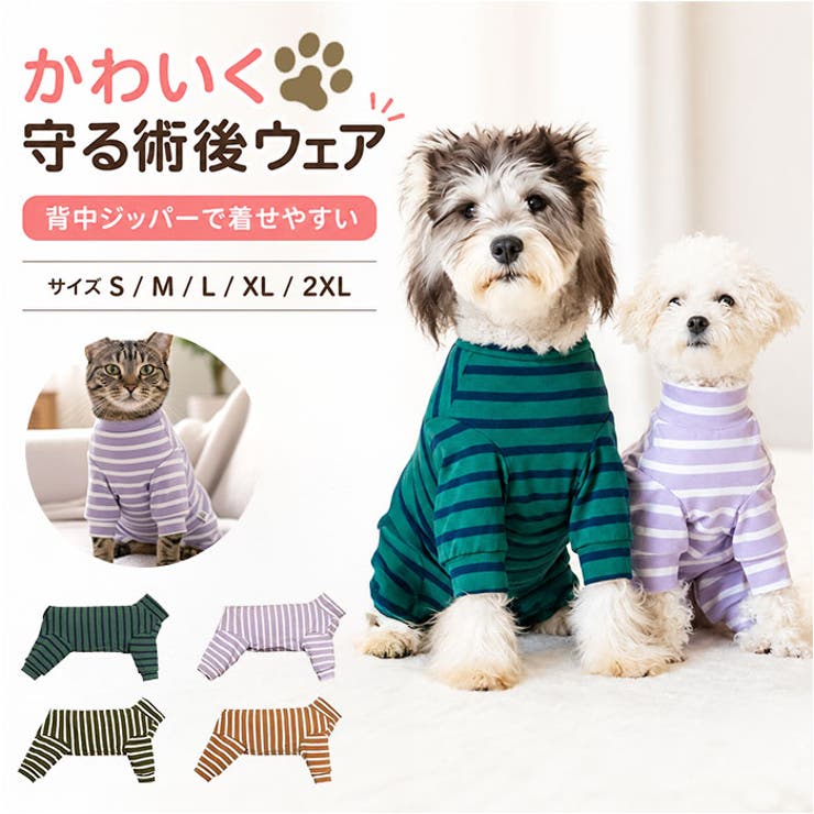 術後服 犬 ストライプ ボーダー 春夏秋冬 背中開き | BACKYARD FAMILY | 詳細画像1 