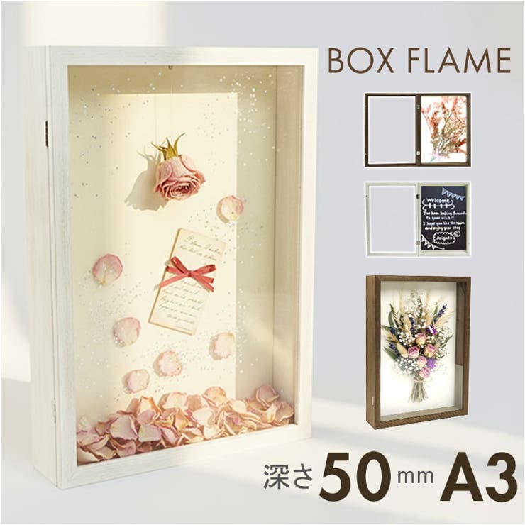 フロントオープンBOX A3 | BACKYARD FAMILY | 詳細画像1 