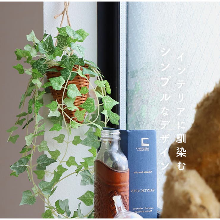 光触媒 インテリアグリーン ハンギング | BACKYARD FAMILY | 詳細画像4 