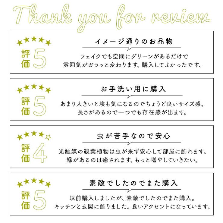 光触媒 インテリアグリーン ハンギング | BACKYARD FAMILY | 詳細画像6 