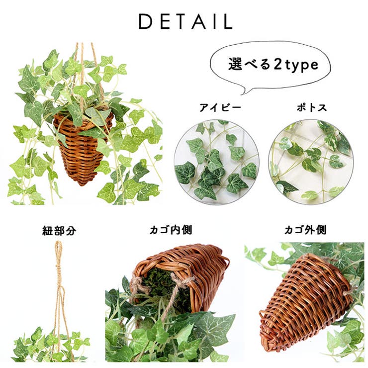 光触媒 インテリアグリーン ハンギング | BACKYARD FAMILY | 詳細画像7 