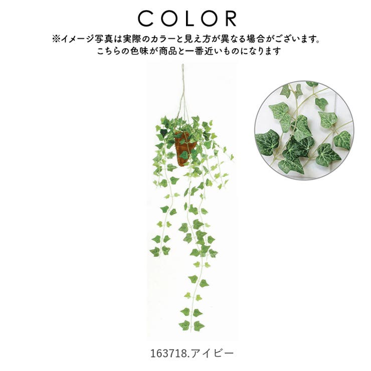 光触媒 インテリアグリーン ハンギング | BACKYARD FAMILY | 詳細画像9 