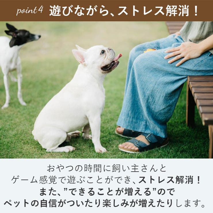 gwj007 ペットおもちゃ フードボウル | BACKYARD FAMILY | 詳細画像7 