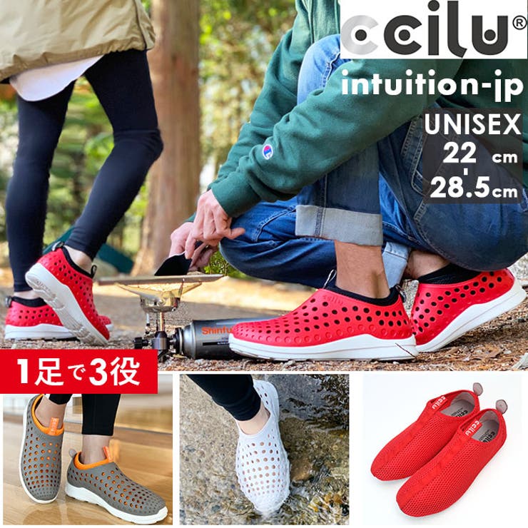ccilu INTUITION WINNI WILL JP | BACKYARD FAMILY | 詳細画像1 