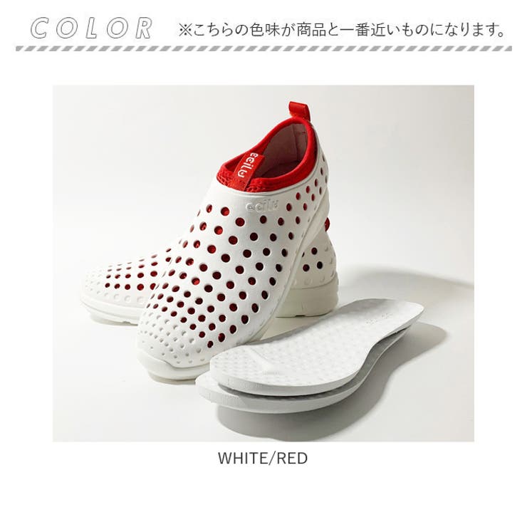 ccilu INTUITION WINNI WILL JP | BACKYARD FAMILY | 詳細画像15 