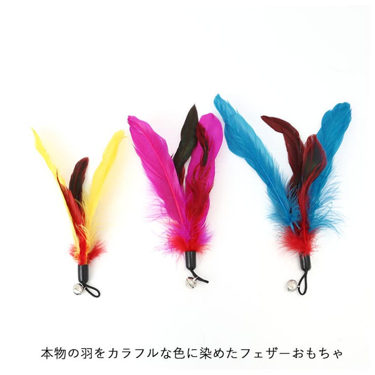 猫じゃらし 11点セット kcattoy11 | BACKYARD FAMILY | 詳細画像3 