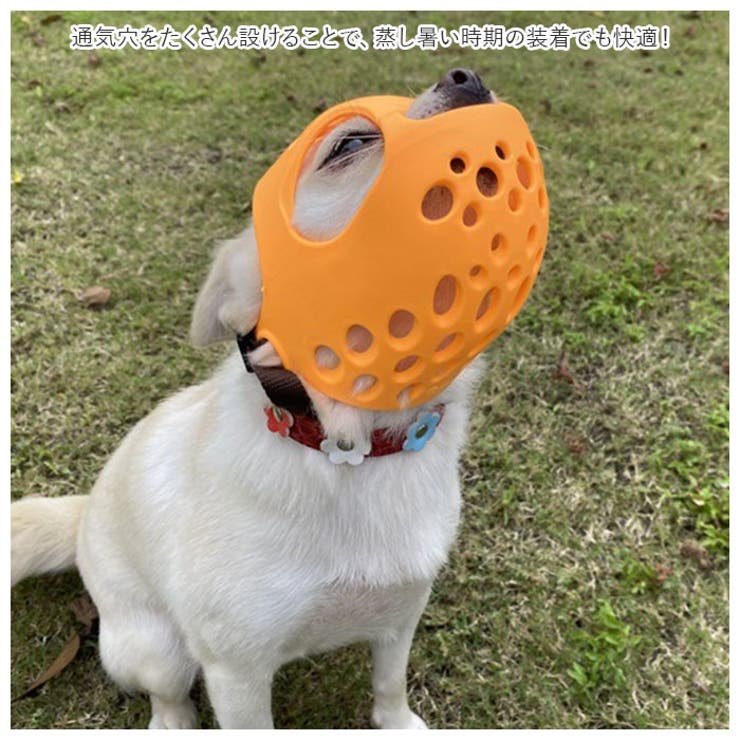 犬用 口輪 短頭種 kdogmaskhd025 | BACKYARD FAMILY | 詳細画像4 