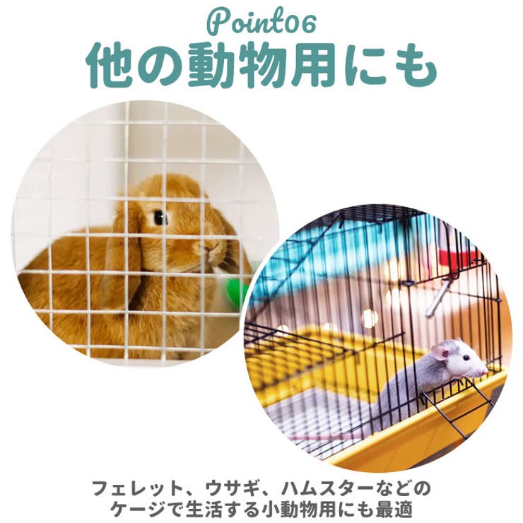 フードボール ハンガーボール kpetbowl01 | BACKYARD FAMILY | 詳細画像11 