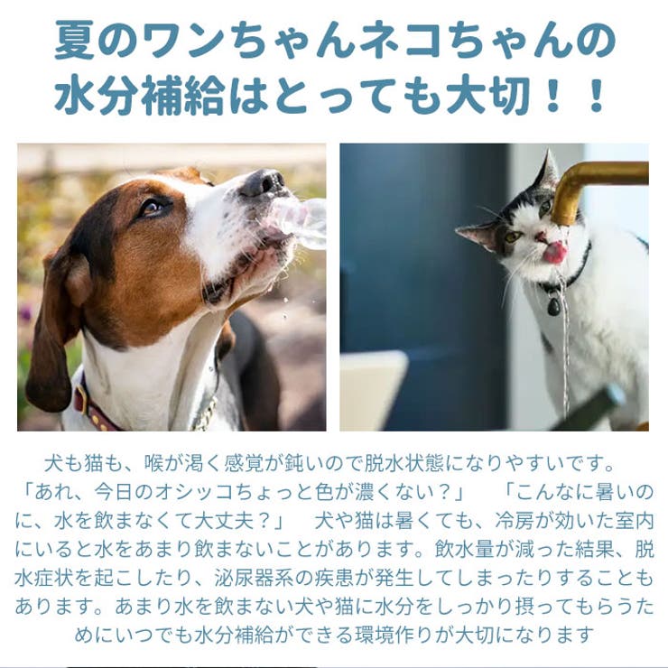 フードボール ハンガーボール kpetbowl01 | BACKYARD FAMILY | 詳細画像3 
