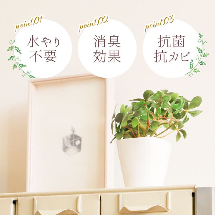 光触媒 インテリアグリーン KUポット | BACKYARD FAMILY | 詳細画像2 