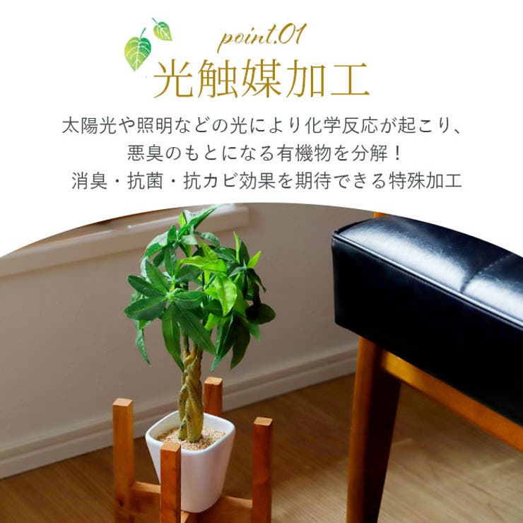 光触媒 インテリアグリーン KUポット | BACKYARD FAMILY | 詳細画像5 