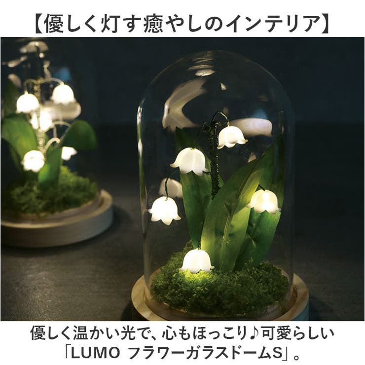 LUMO フラワーガラスドームS | BACKYARD FAMILY | 詳細画像2 